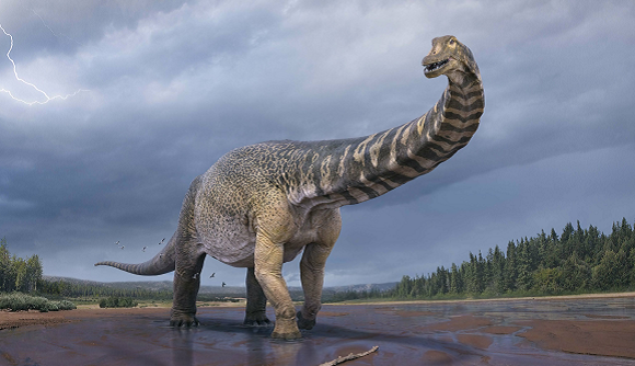Confirma Australia el hallazgo de una nueva especie de dinosaurio