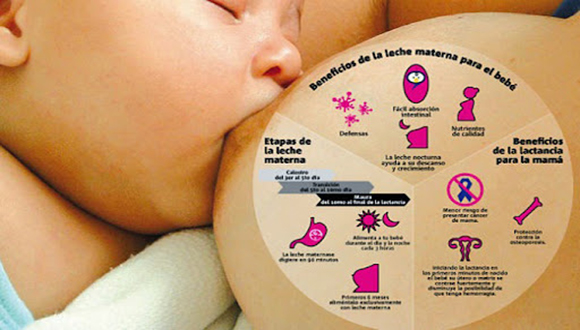 La lactancia materna garantiza supervivencia, salud y bienestar. Infografía tomada de Internet.