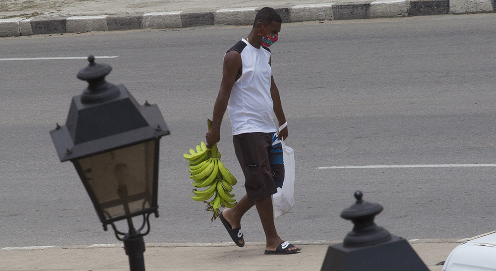 Un hombre con un racimo de plátano para la casa. Foto: Ismael Francisco/ Cubadebate.