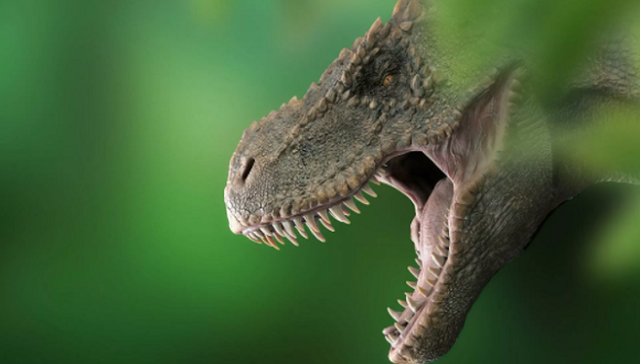 Cinco descubrimientos increíbles sobre dinosaurios en el 2021 | Cubadebate