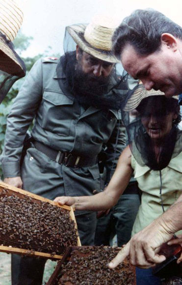 El Comandante en Jefe en un recorrido por el Plan Apícola de Herradura, Pinar del Río, 31 de agosto de 1981. Foto: Archivo.