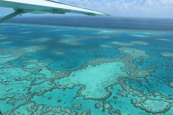 gran barrera coral australia