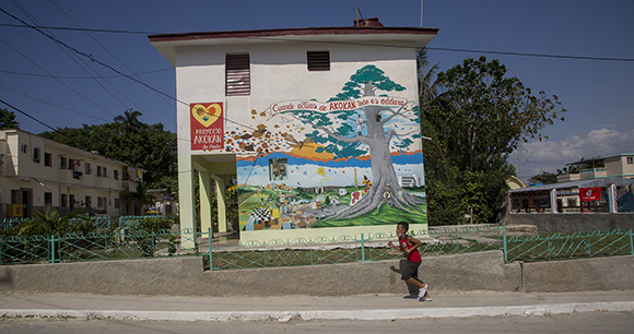Niño de la barriada habanera Pocito-Palmar, en el municipio Marianao; barrio en transformación. Foto: Ismael Fancisco/ Cubadebate.