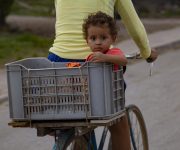 El futuro en una cesta, Herradura, Consolación del Sur, Pinar del Río. Foto: Ismael Francisco/ Cubadebate.