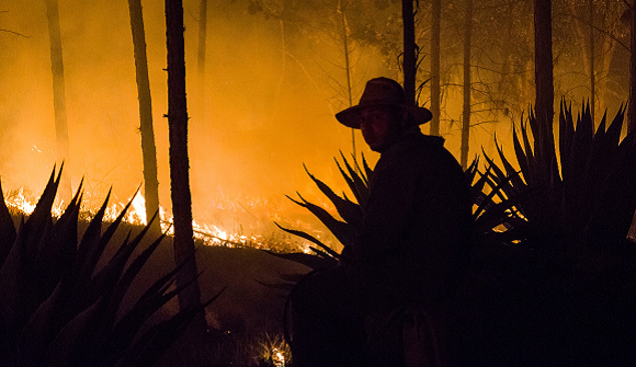 Incendio en Pinares de Mayarí: Día decisivo para evitar avance del fuego al parque natural Mensura Piloto (+ Fotos)