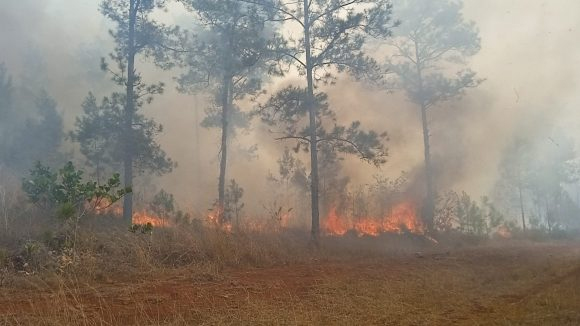 Fuego en Pinares de Mayarí, Holguín, detectado el 18 de febrero de 2023. Foto: Emilio Rodríguez Pupo.