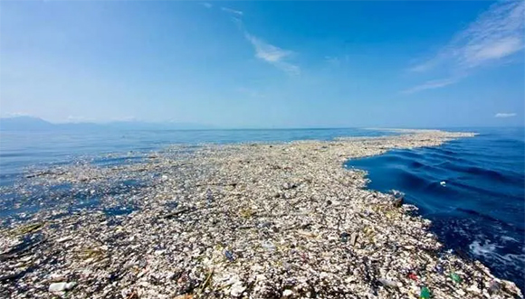 Fondo Mundial para la Naturaleza insta a Gobiernos a actuar para eliminar gradualmente plásticos de un solo uso